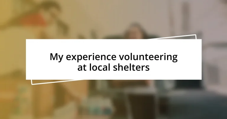 My experience volunteering at local shelters