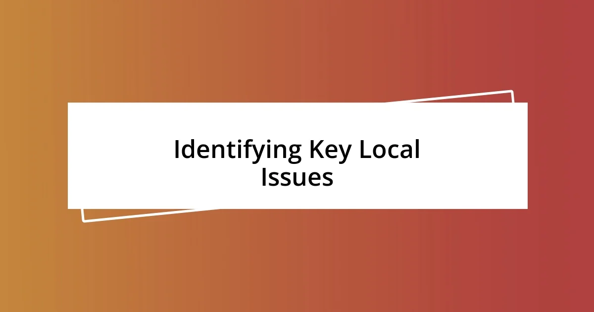 Identifying Key Local Issues