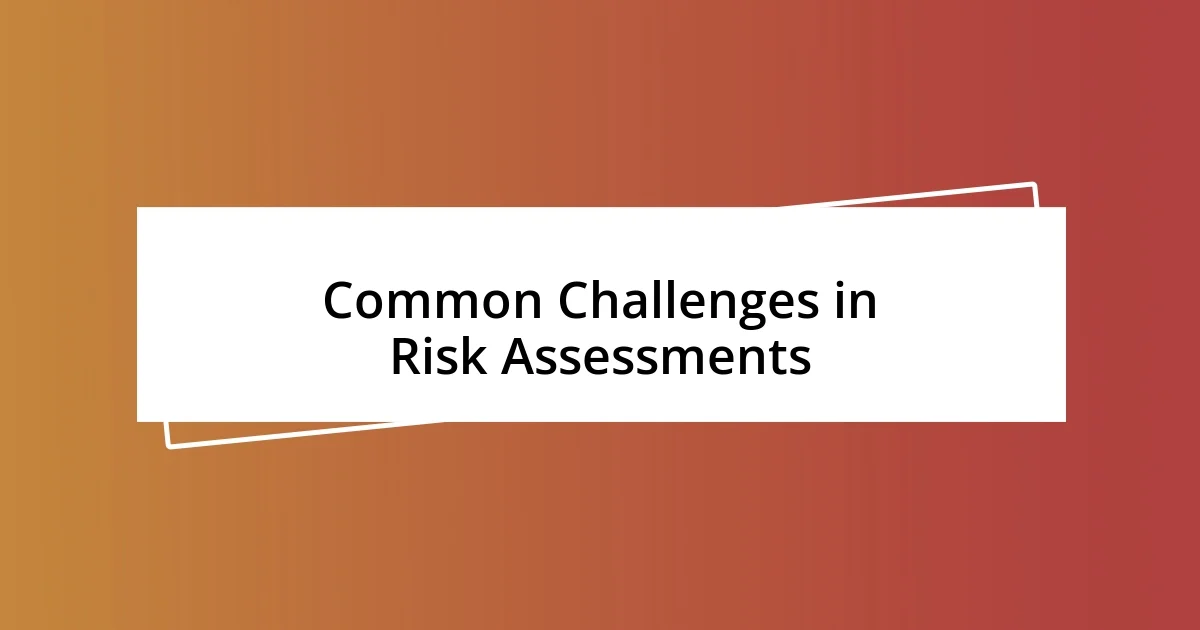 Common Challenges in Risk Assessments